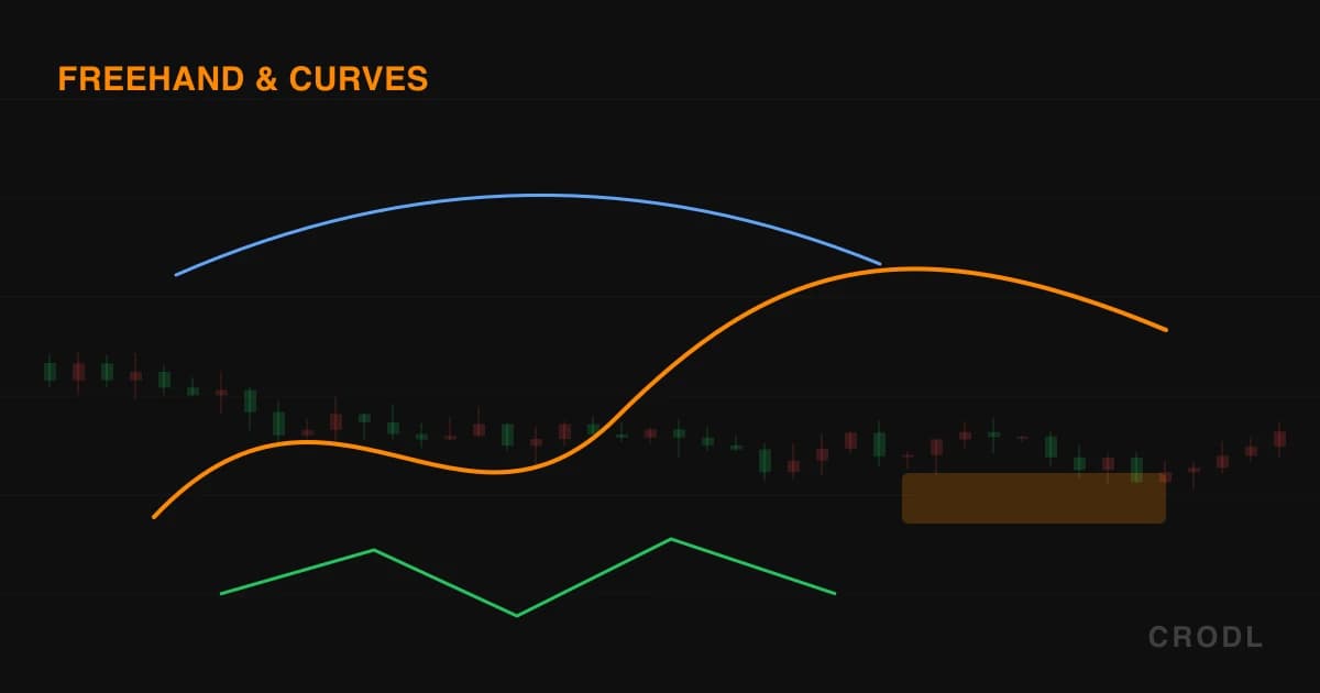 Freehand & Curves: Drawing What a Straight Line Cannot