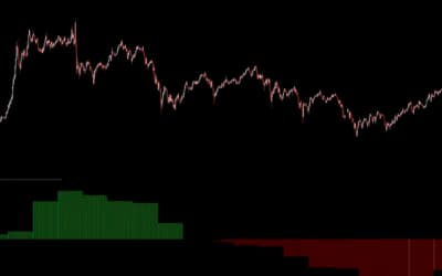 Crodl Strength Meter